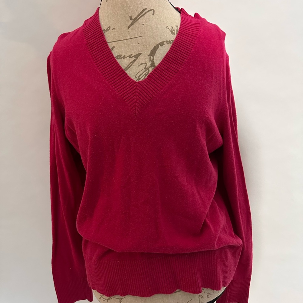 Banana Republic V-Neck Sweater in Berry Pink